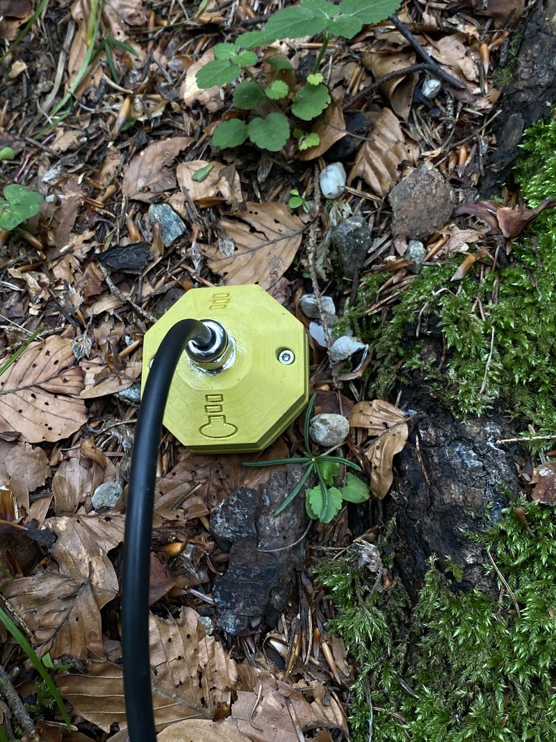 FIELD5 — photo 7